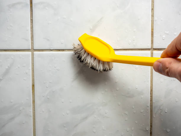  Avenal, CA Mold Removal Pros