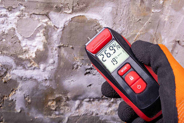 Best Attic Mold Removal  in Avenal, CA