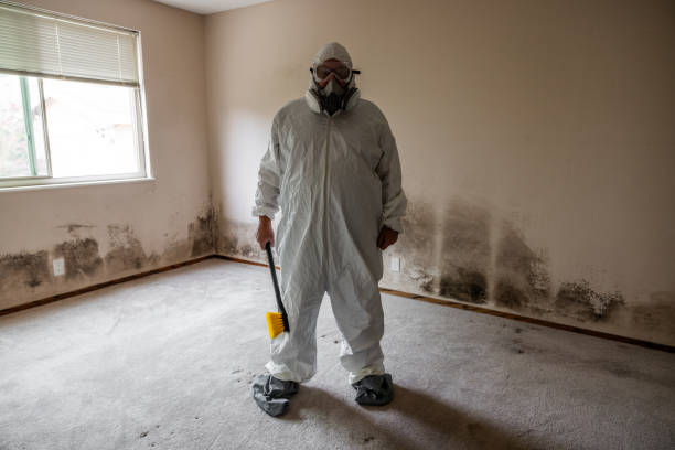 Best Toxic Mold Removal  in Avenal, CA